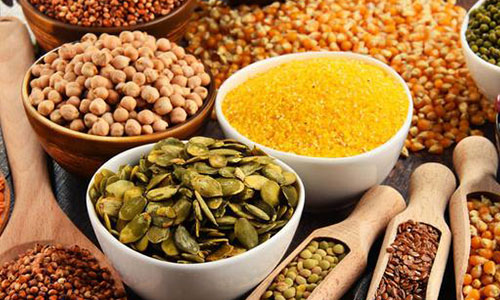 无本开店创业,小本经营,大梦想的启航 无本开店创业,小本经营,大梦想的启航